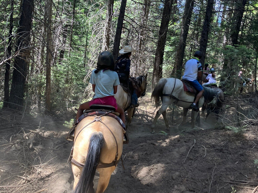 Yosemite Trails Horseback Adventures-菲什营必去景点