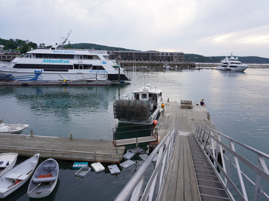 Bar Harbor Town Pier-巴港必去景点