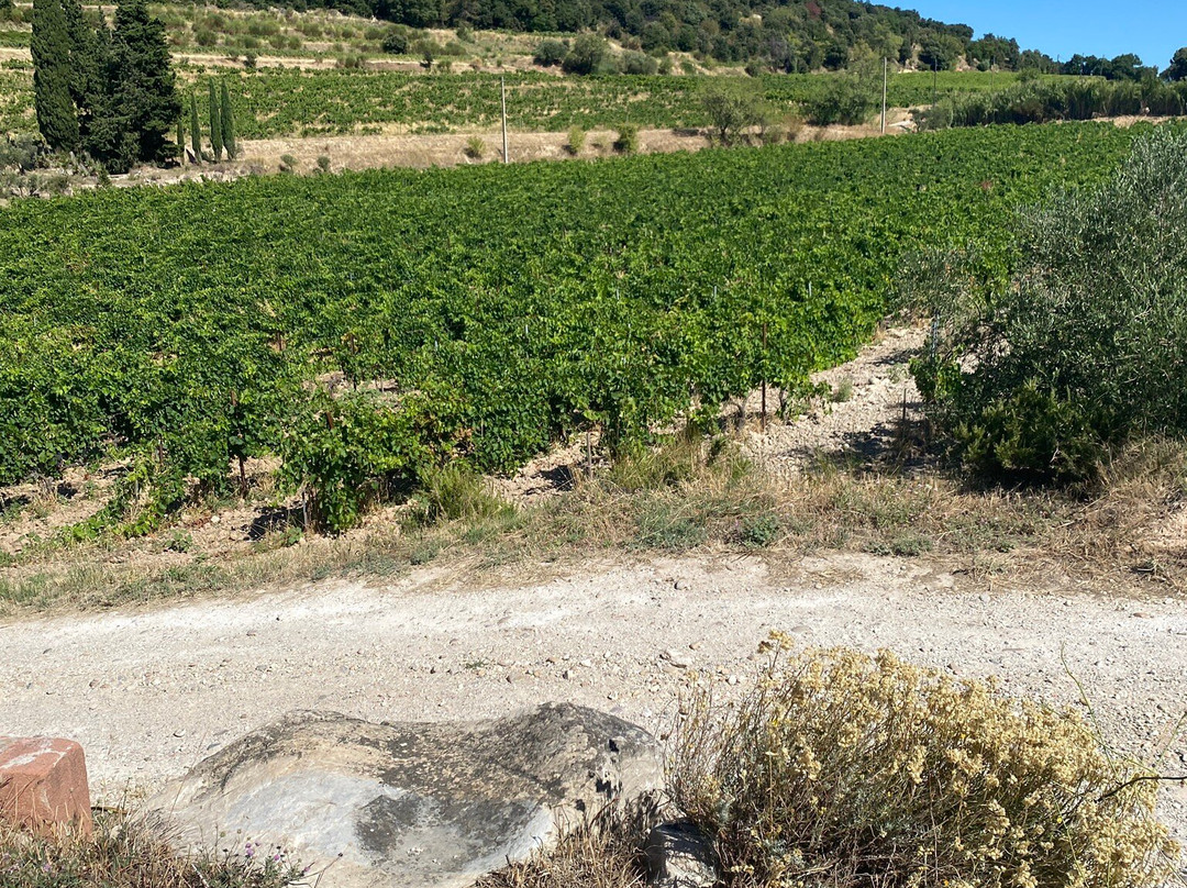 Clos De Caveau-Vacqueyras必去景点