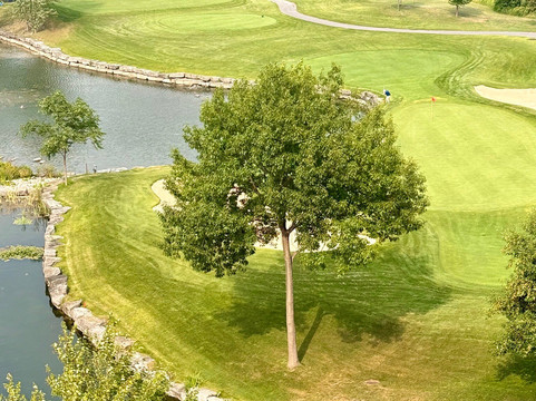渥太华西部卡纳塔布鲁克街酒店主图