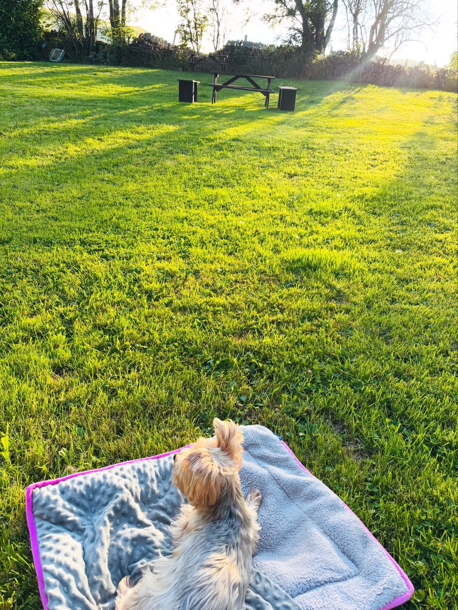 Speedwell House-官方