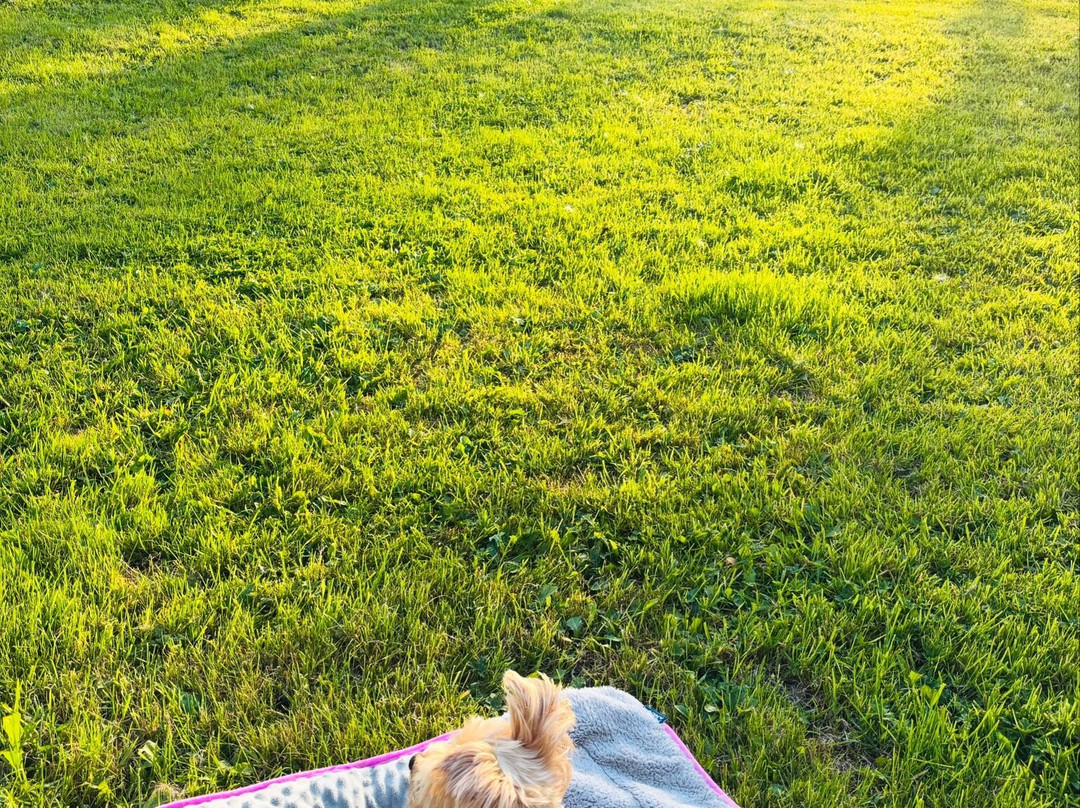 Speedwell House主图