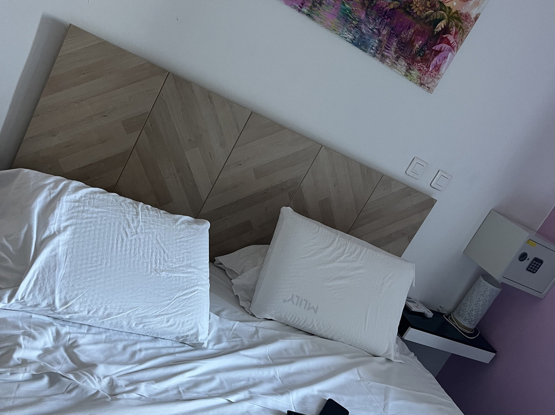 Lindsey Hôtel ***主图