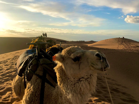 Caravan Maroc-伊拉悉迪亚必去景点