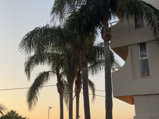 Poseidonia Hotel Apartments主图