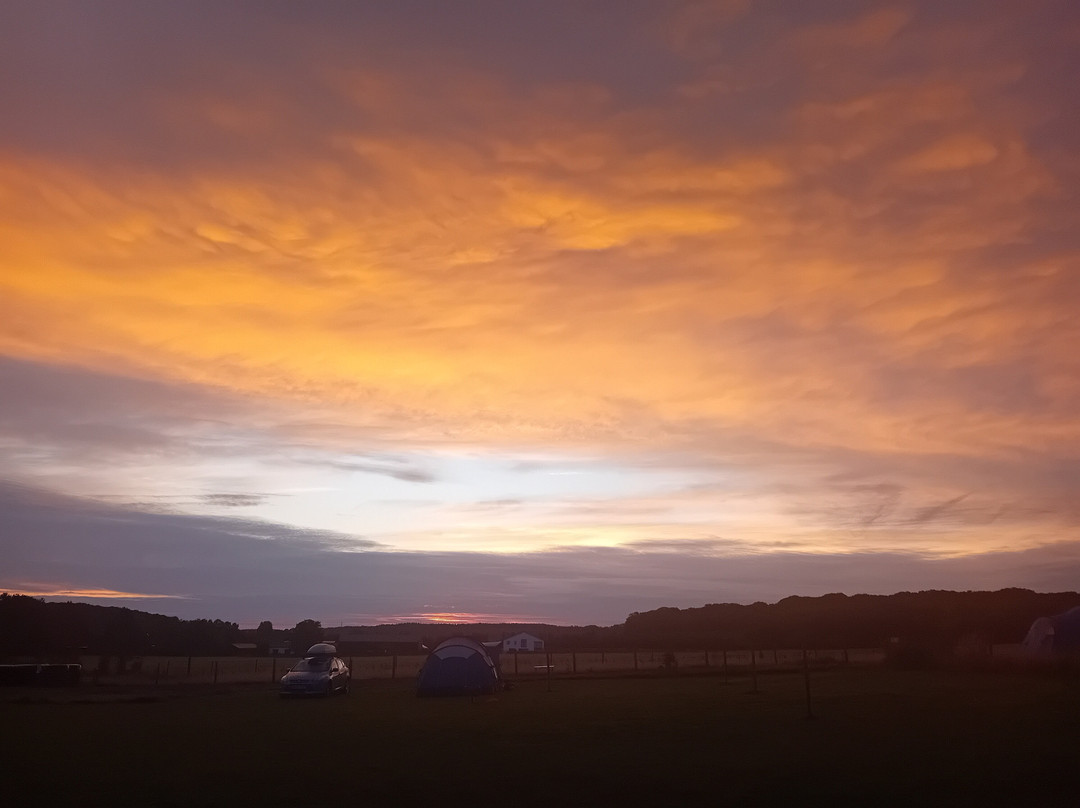 Brook Farm Glamping