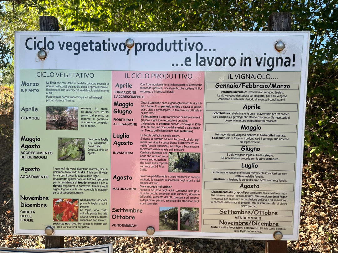 Azienda Agraria Saio-阿西西必去景点