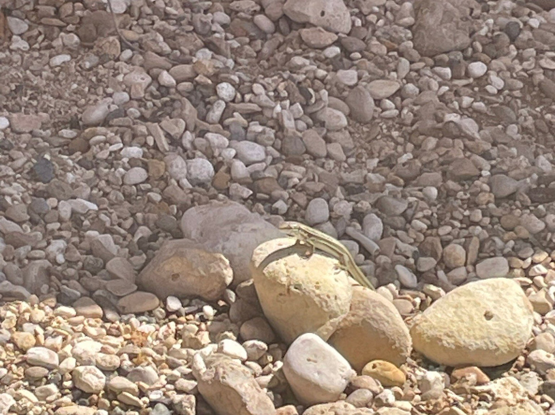 Mgarr ix-Xini-Xewkija必去景点