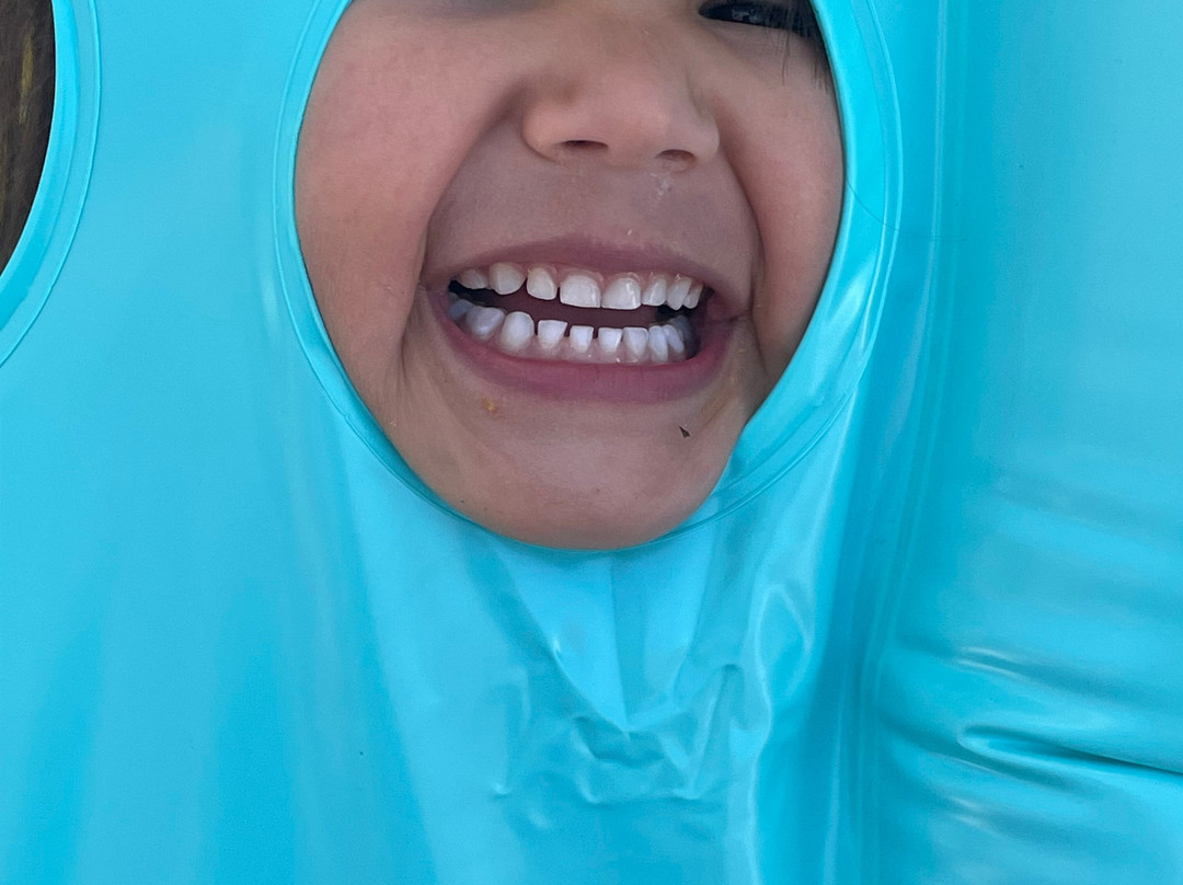 New Melones Lake Marina-Angels Camp必去景点