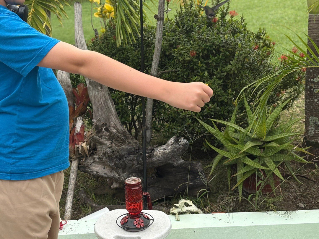 CP's Tours and Taxi Service-多巴哥必去景点