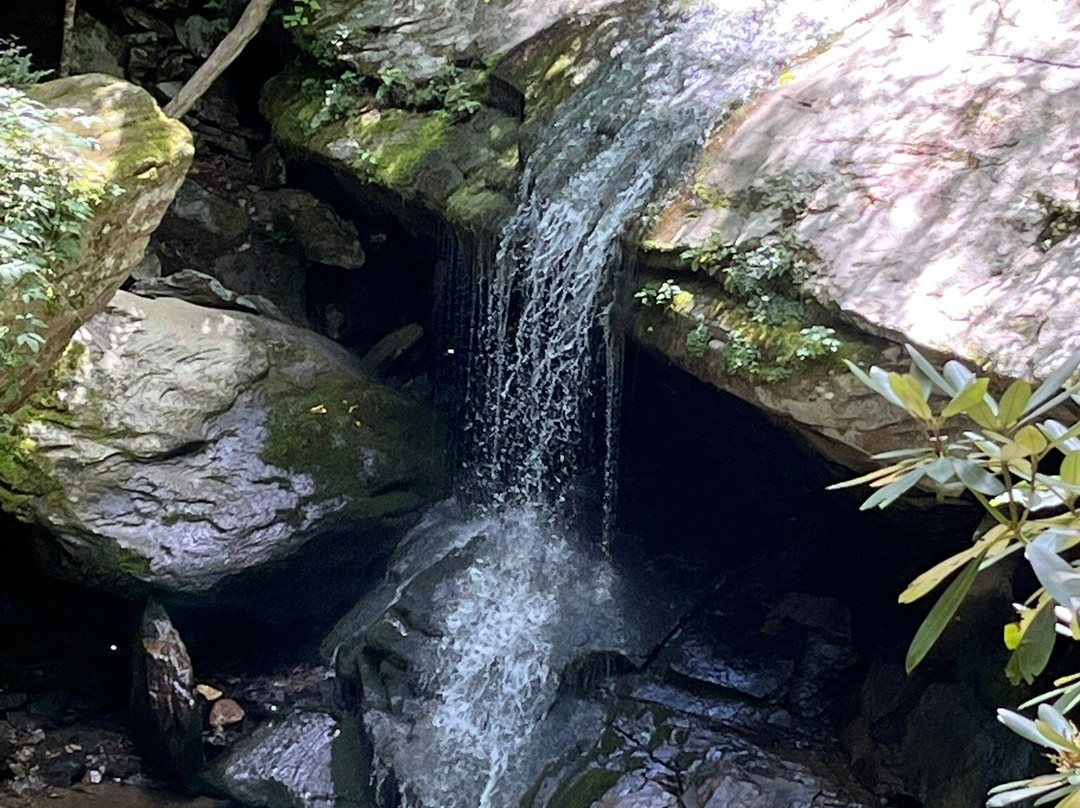 Otter Falls-Seven Devils必去景点