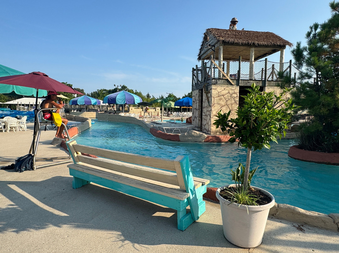 Jungle Jim's-里霍博斯比奇必去景点