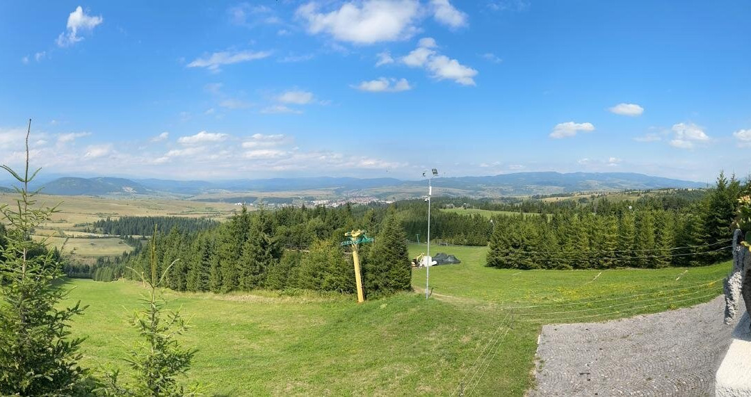 Pensiunea Baciu主图