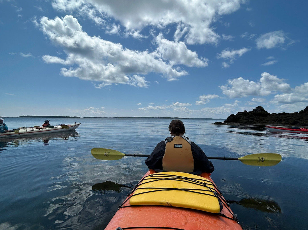 Seascape Kayak Tours Inc.-Deer Island必去景点