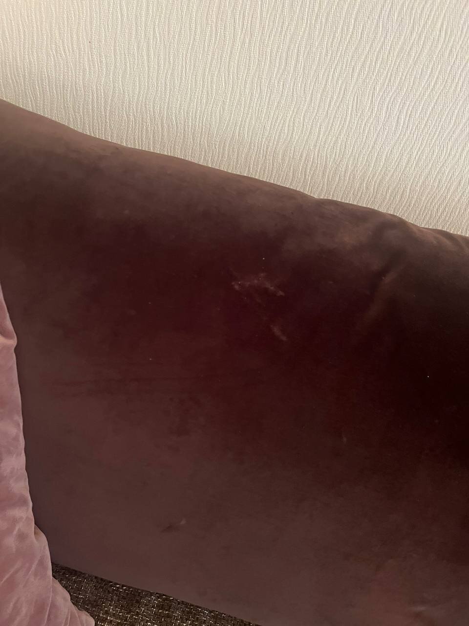 Forrestmix Club-客卧