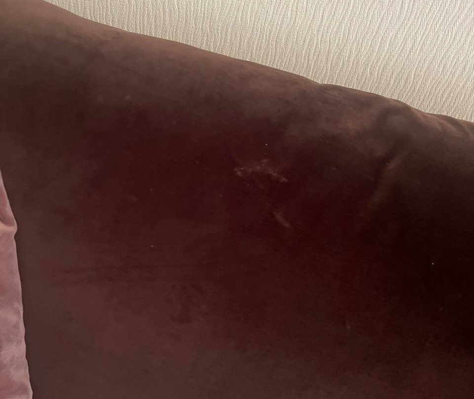 Forrestmix Club主图