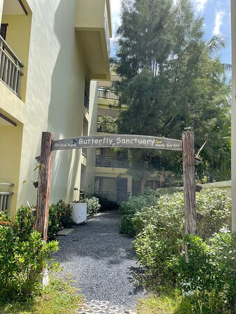 美林海滩度假村主图