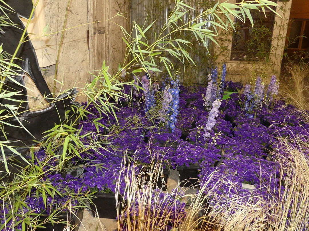 Leverano In Fiore-Leverano必去景点