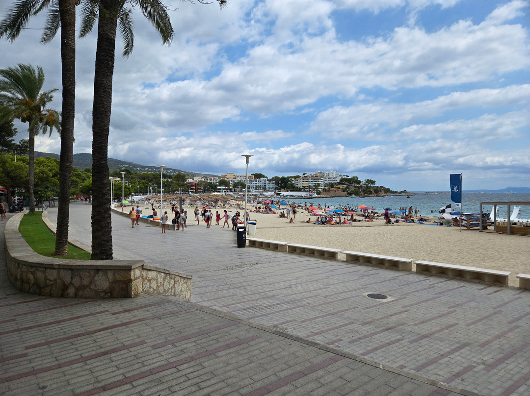 Palma Nova Beach-Palmanova必去景点