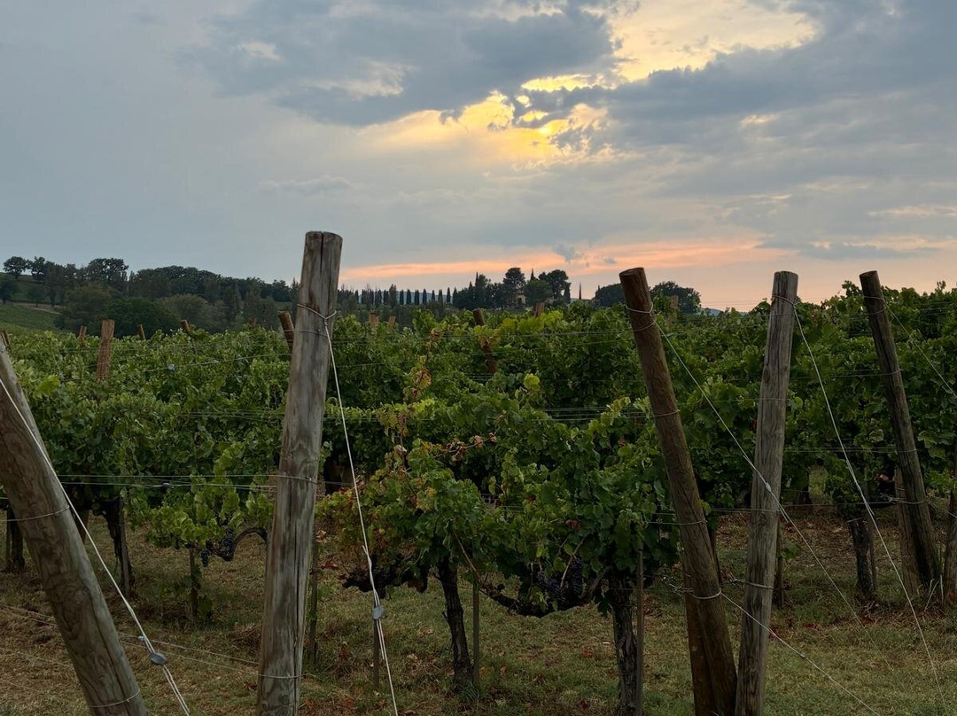 Arnaldo Caprai - Viticoltore in Montefalco-Montefalco必去景点