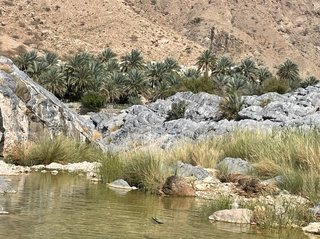 Wadi Al Arbeieen-Qurayyat必去景点