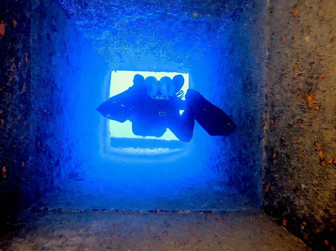 Coral Bay Divers-帕福斯必去景点