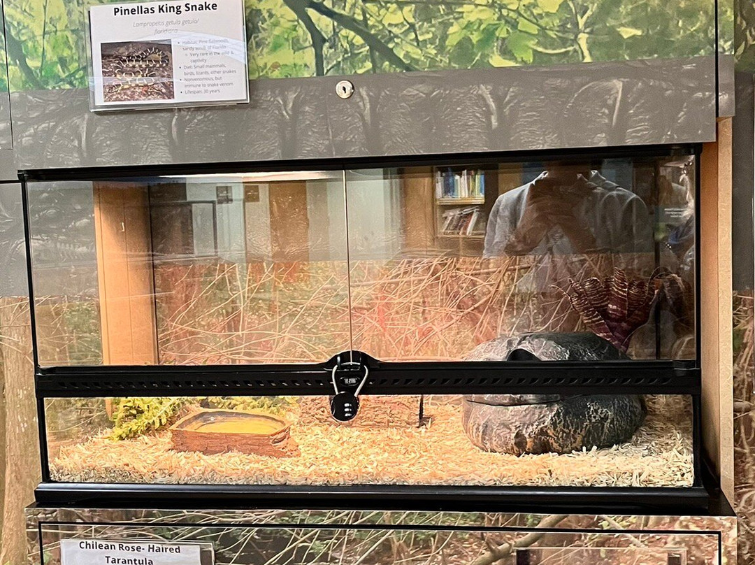 Boyd Hill Nature Preserve-圣彼德斯堡必去景点