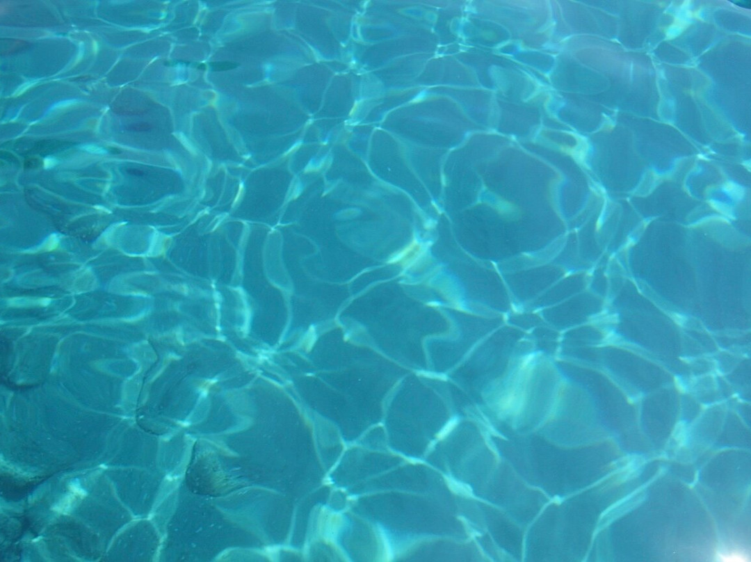 Oceano Ponza Experience - Cosmo Dies-Ponza必去景点