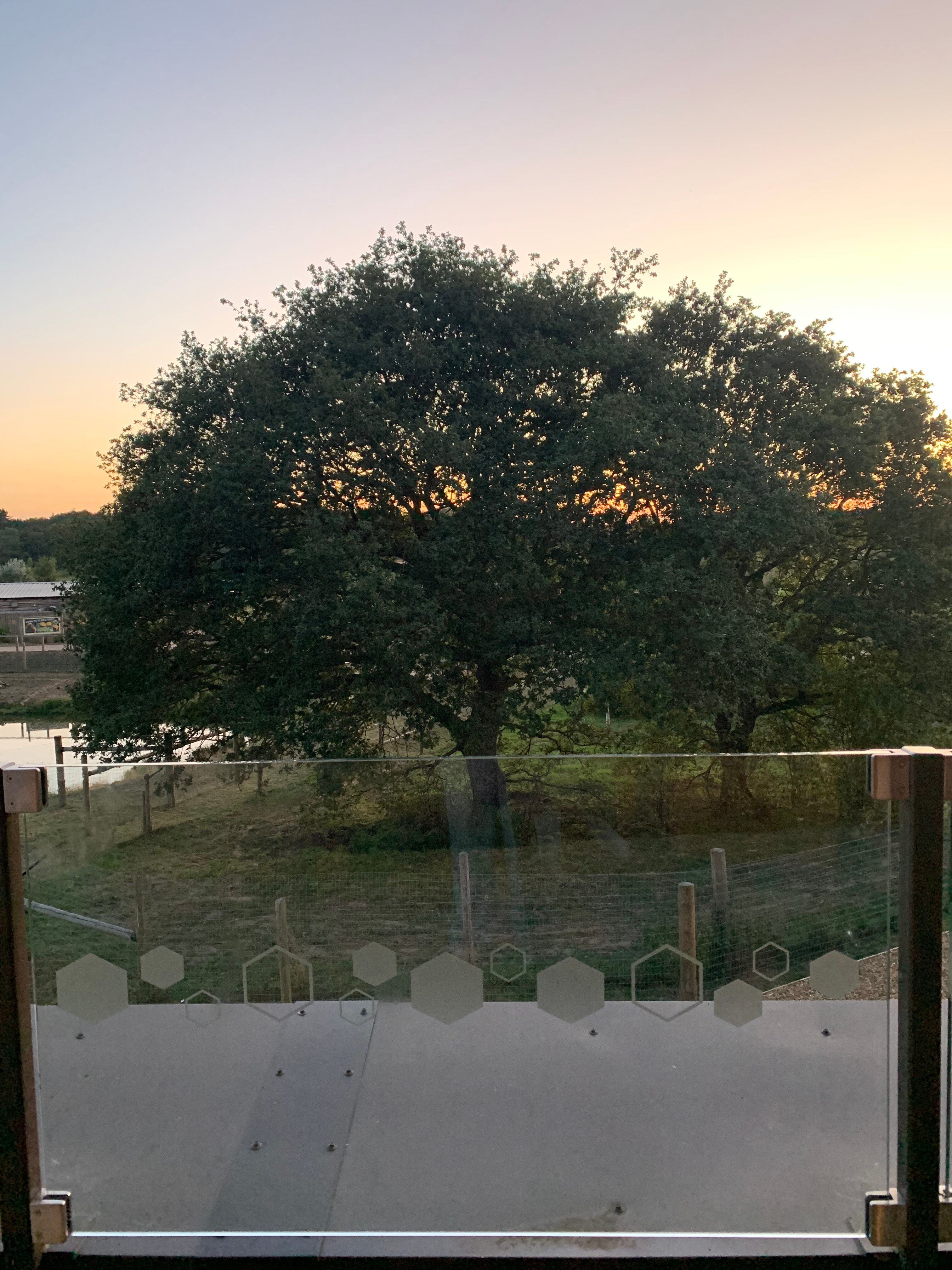 Hex Wildlife Hotel-酒店景观