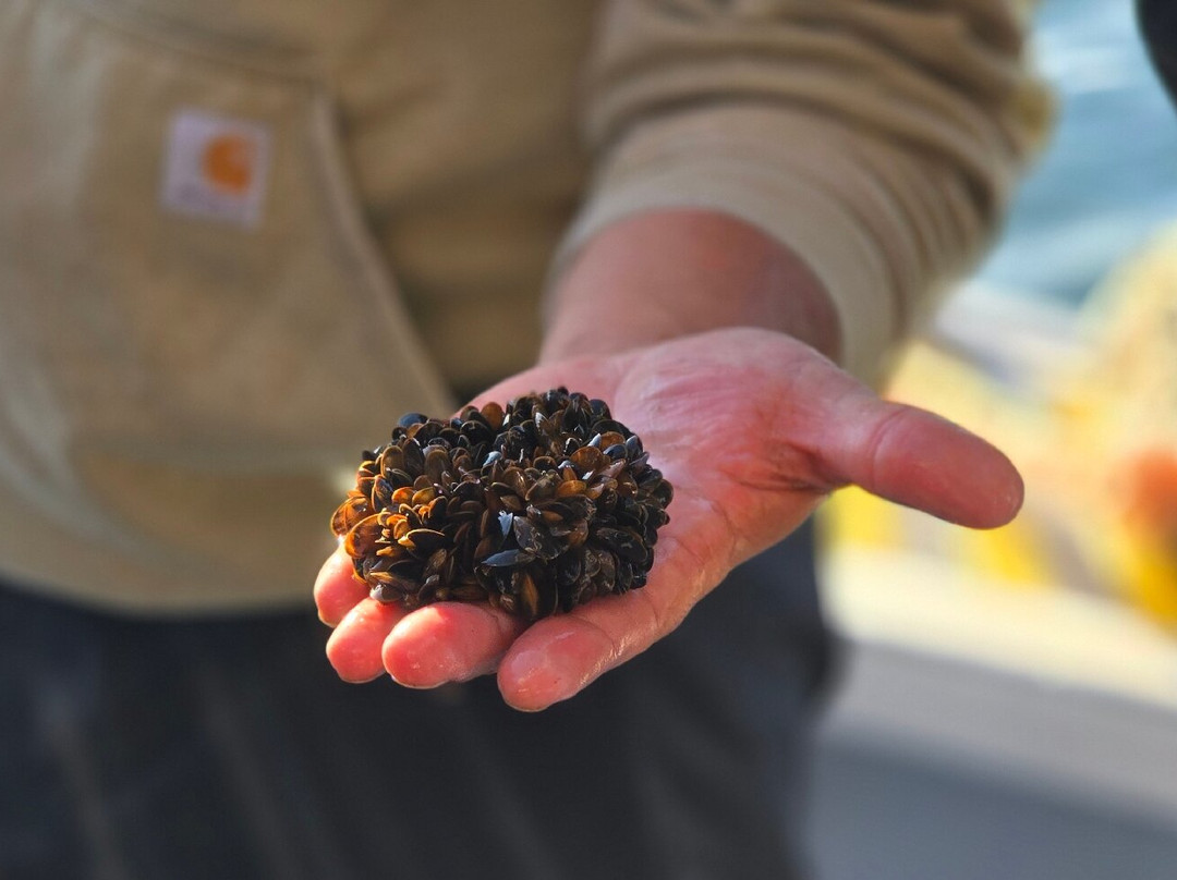 Tranquility Cove Adventures-Georgetown必去景点