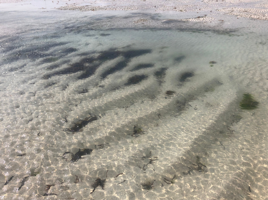 Pwani Mchangani Beach