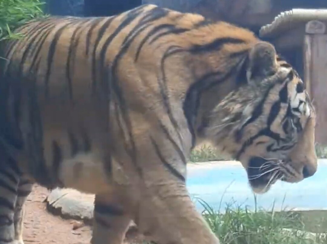 Zoo Park da Montanha-Marechal Floriano必去景点