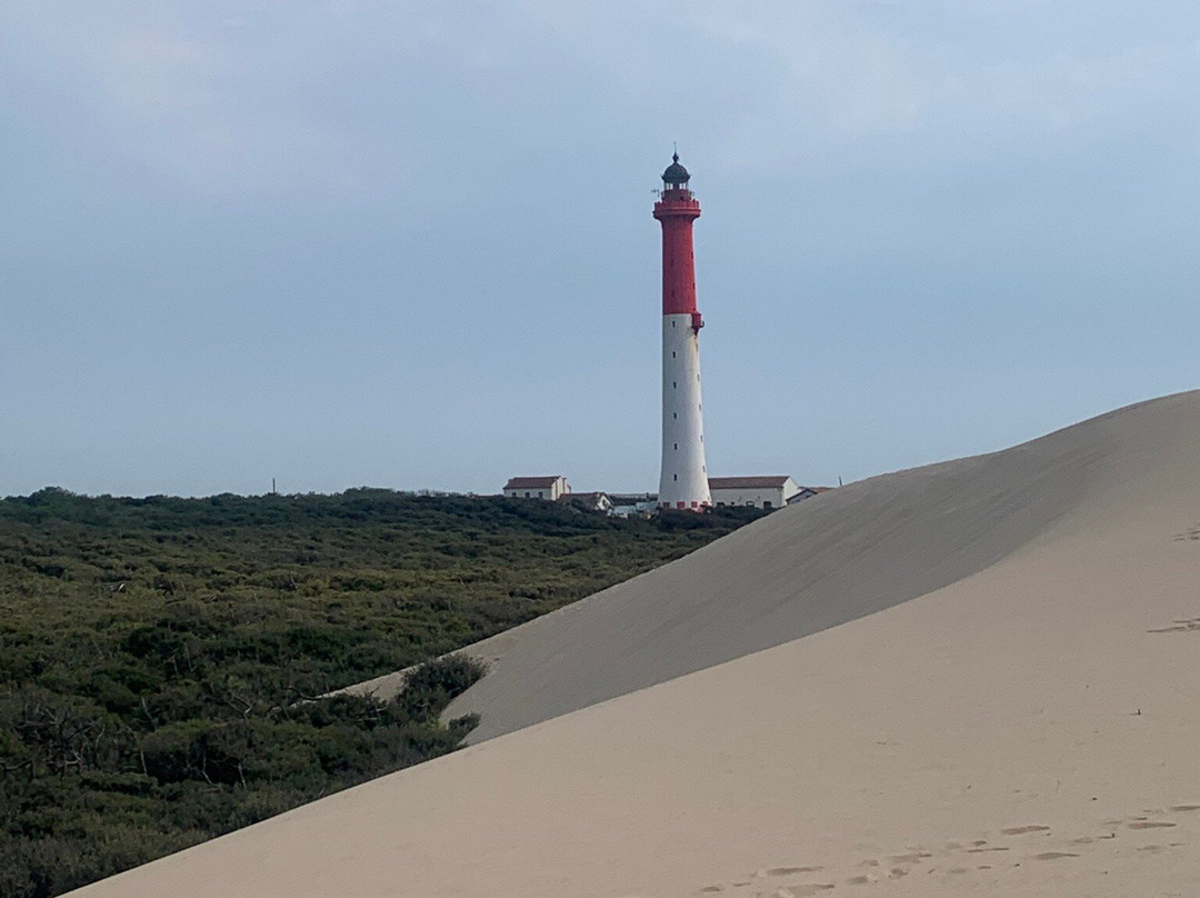 Plage de la Coubre-La Tremblade必去景点