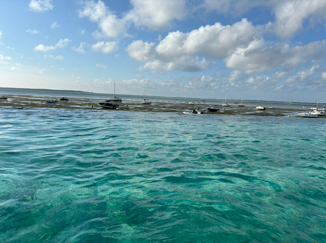 Hotel de la Plage主图