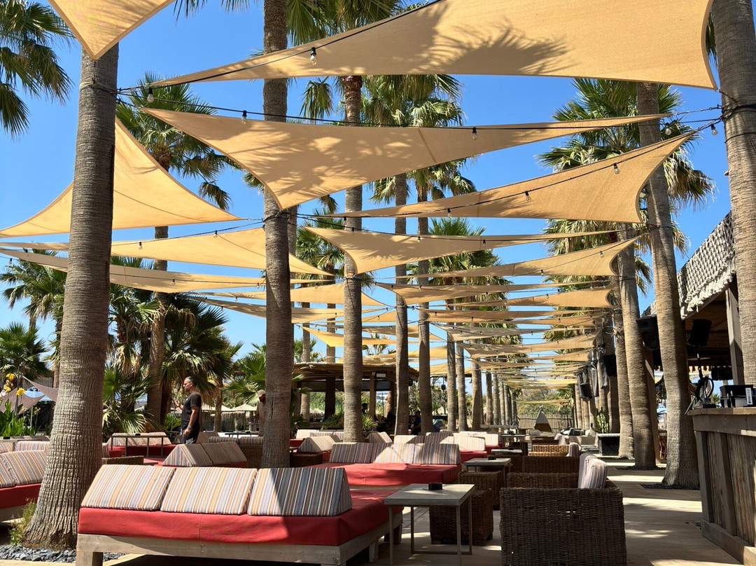 Baja Beach Club Restaurant-雷斯蒙必去景点