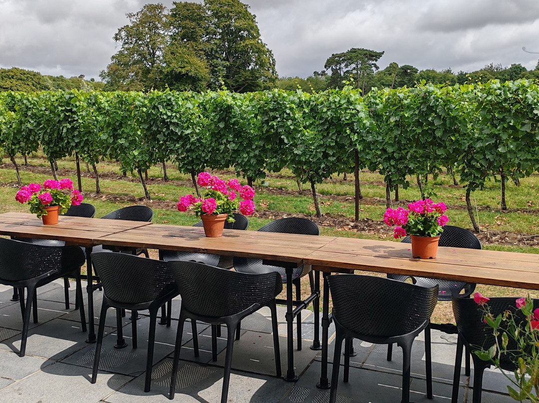 Ashling Park Estate-West Ashling必去景点