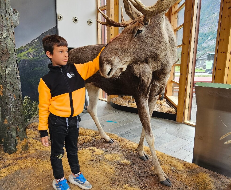 Norsk Natursenter - Hardanger-Eidfjord Municipality必去景点