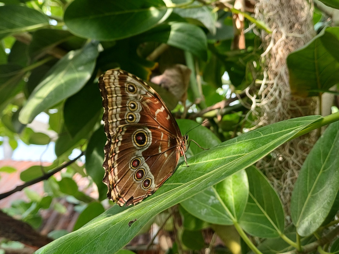 Jardin Botanique du Beau Pays-Marck必去景点