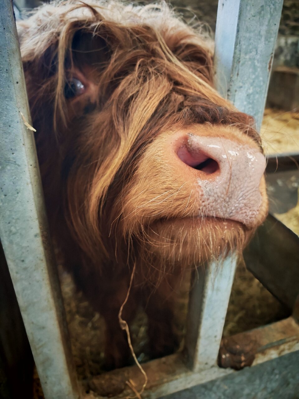 Newton Farm Holidays & Tours-官方