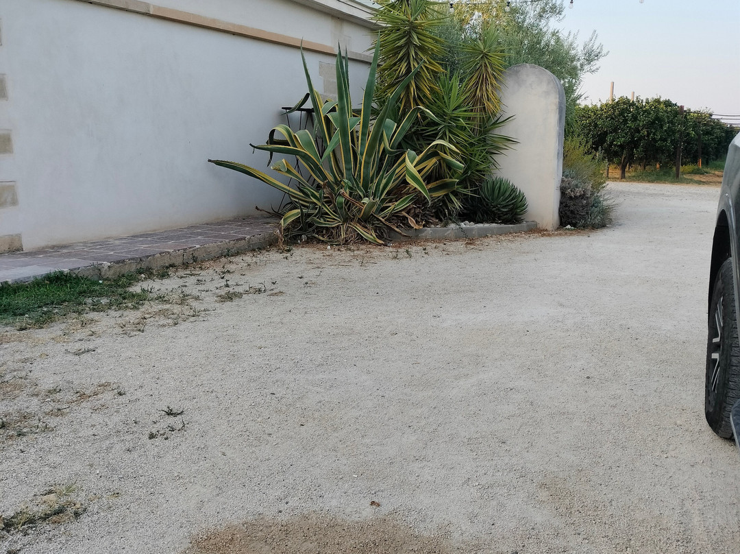 Masseria Savoia主图