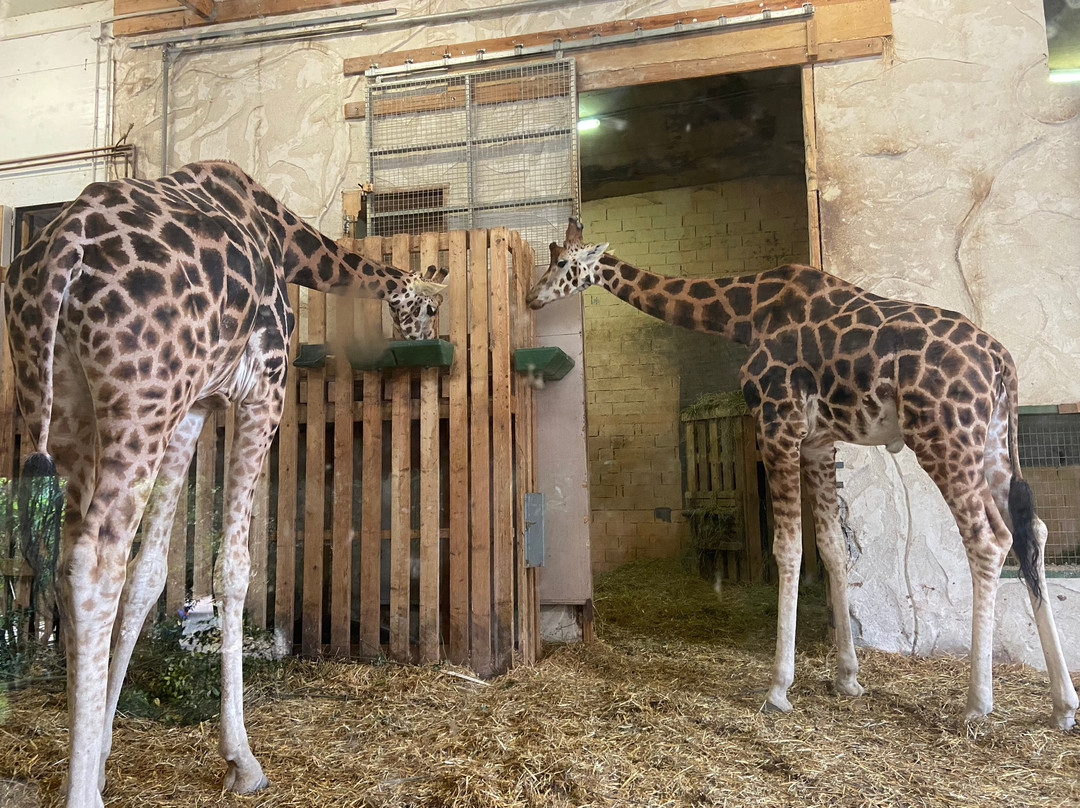 Zoo Cerza-Hermival-les-Vaux必去景点