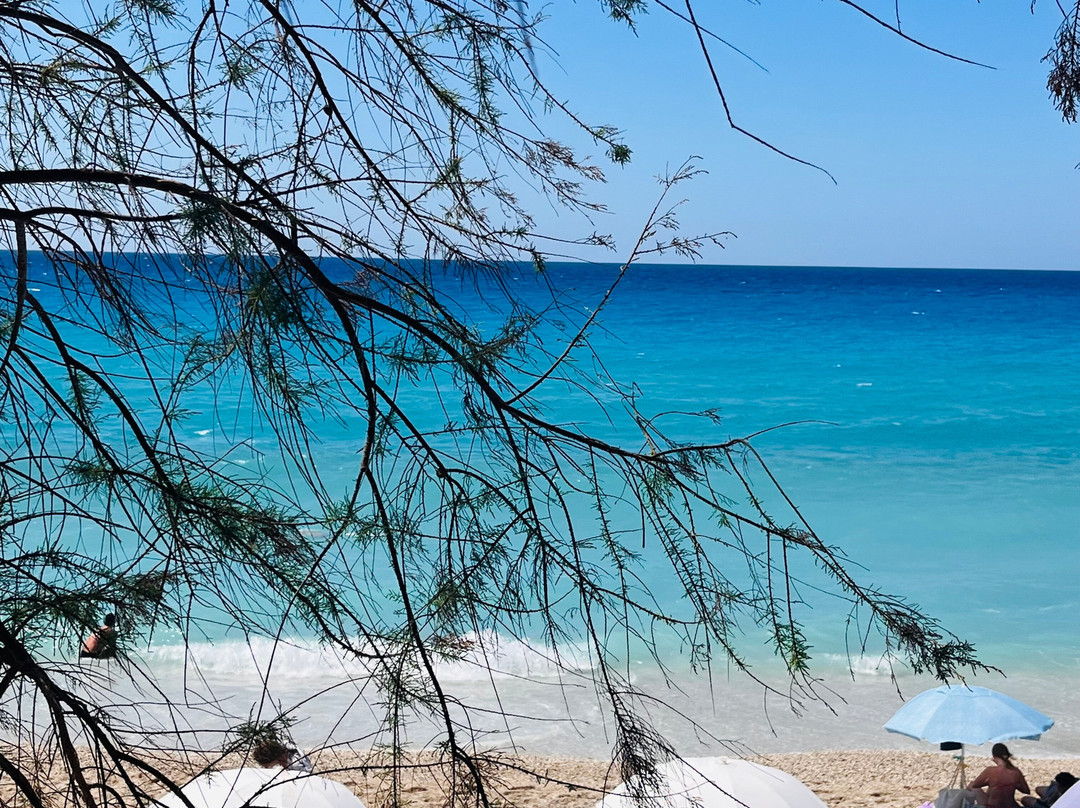 柯奈吉酒店主图