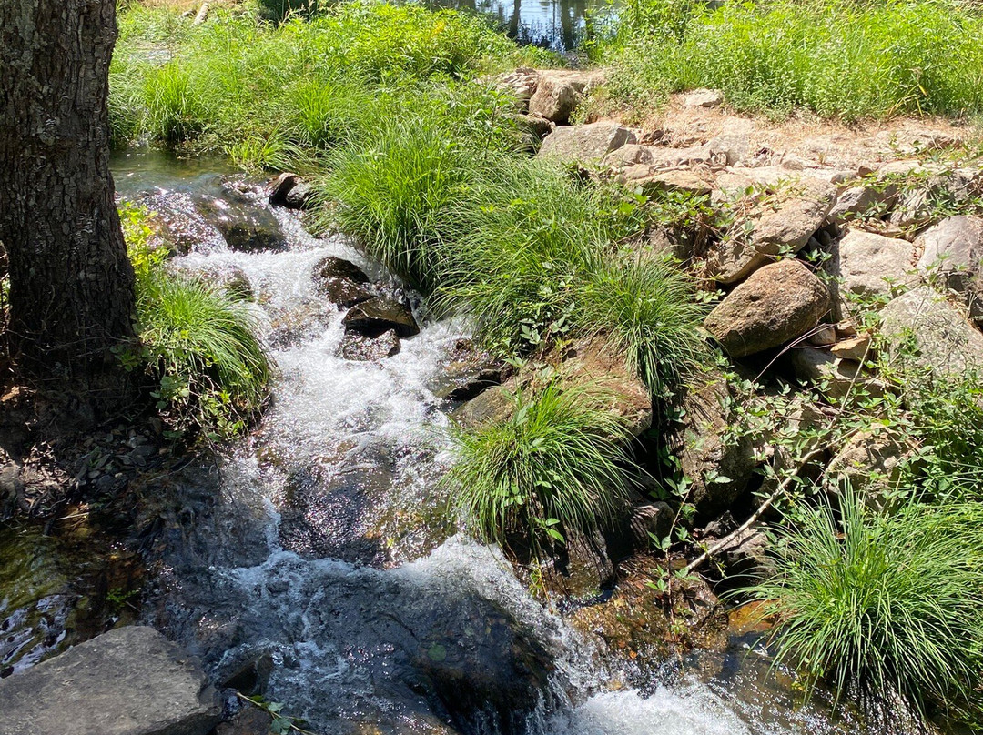 Sabugal Castle-Sabugal必去景点