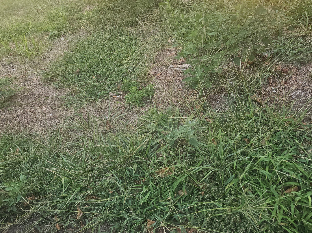 Lake Bluff Inn and Suites主图