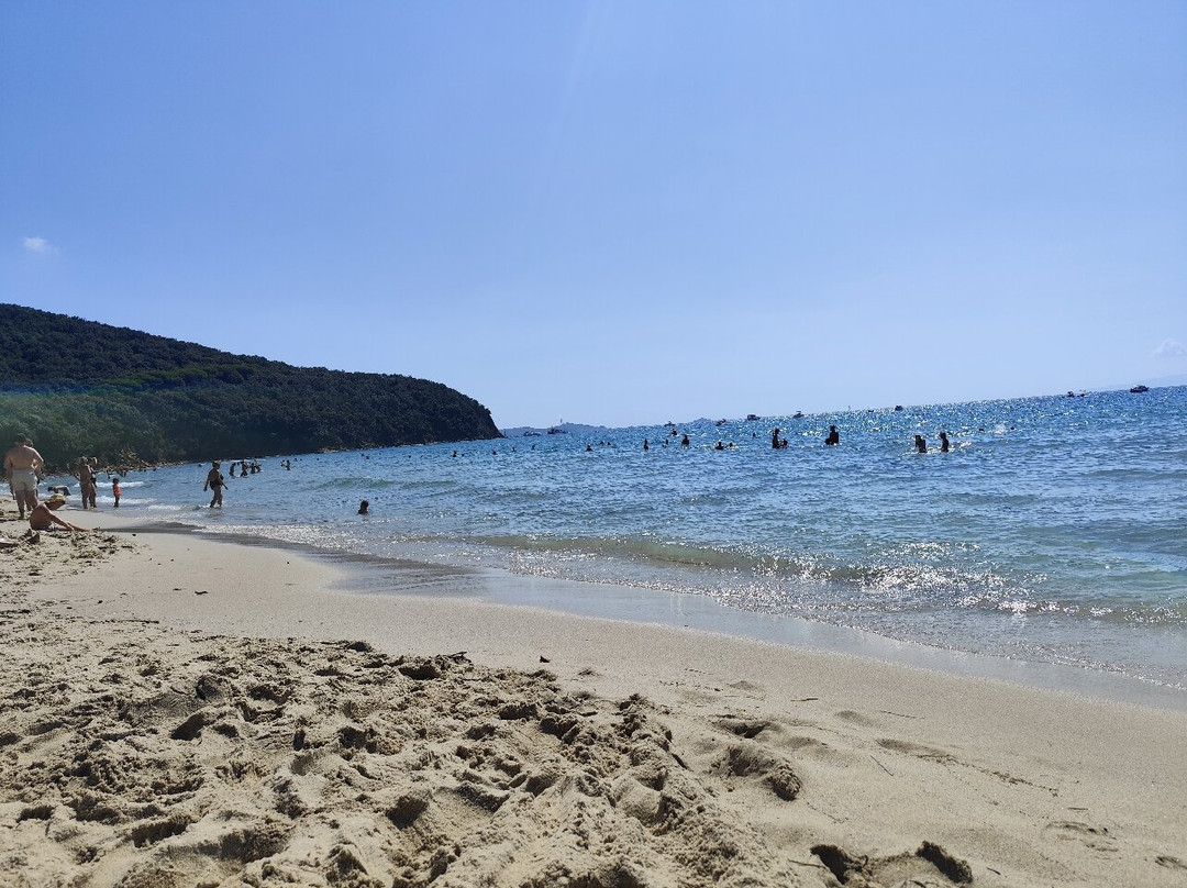 Cala Violina-斯卡尔利诺必去景点