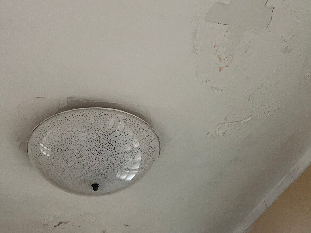 Hotel Sibilla Residence主图