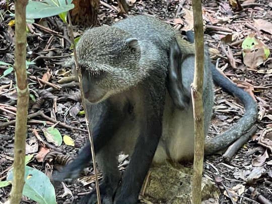 Fabio Zanzibar Tour-石头城必去景点