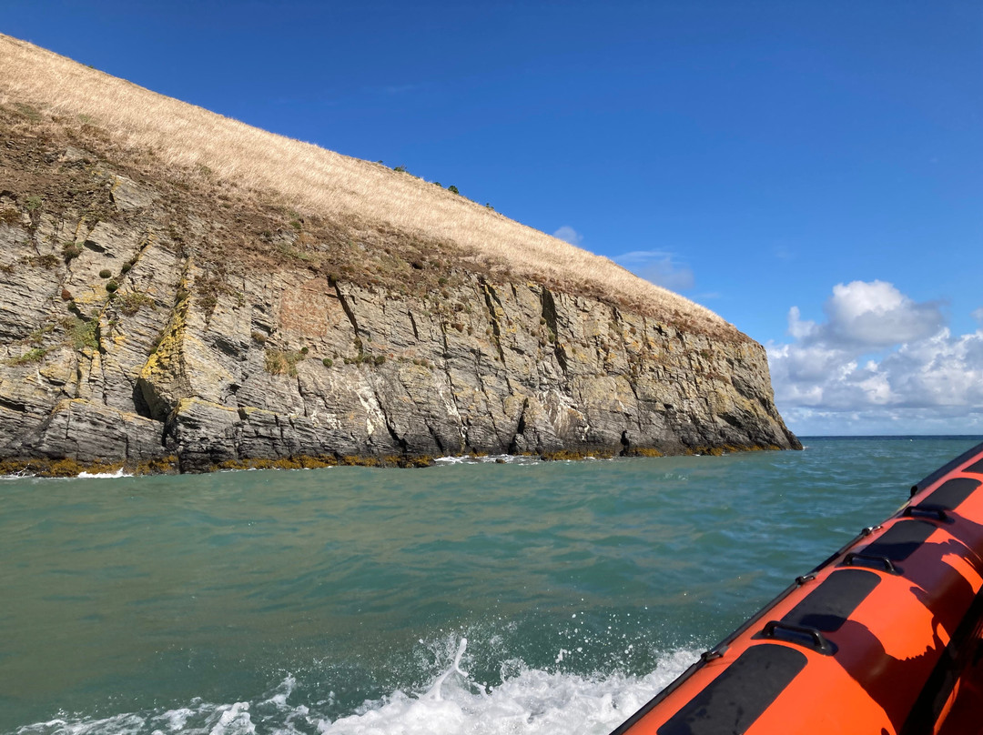A Bay To Remember Wildlife Boat Trips-St. Dogmaels必去景点