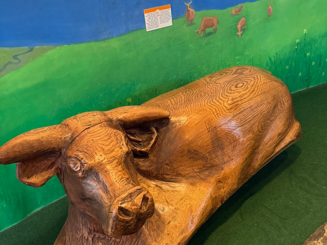 普罗维登斯儿童博物馆-普罗维登斯必去景点