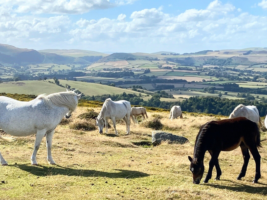Hergest Ridge-Kington必去景点